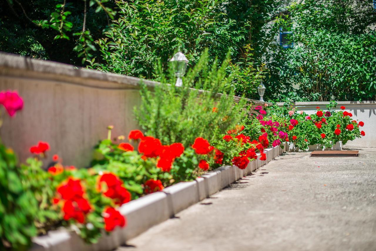Villa Rose Rovinj Dış mekan fotoğraf